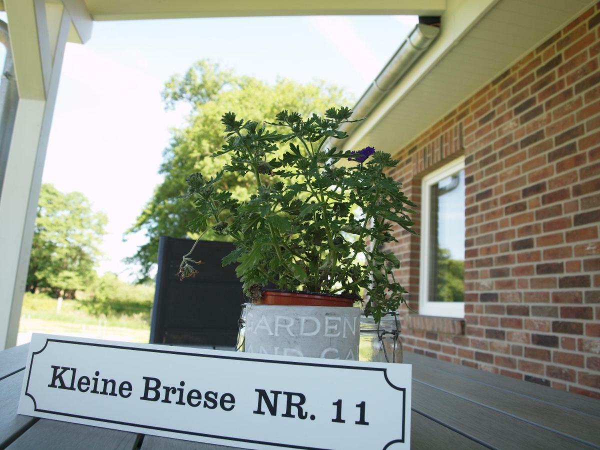 Kleine Briese